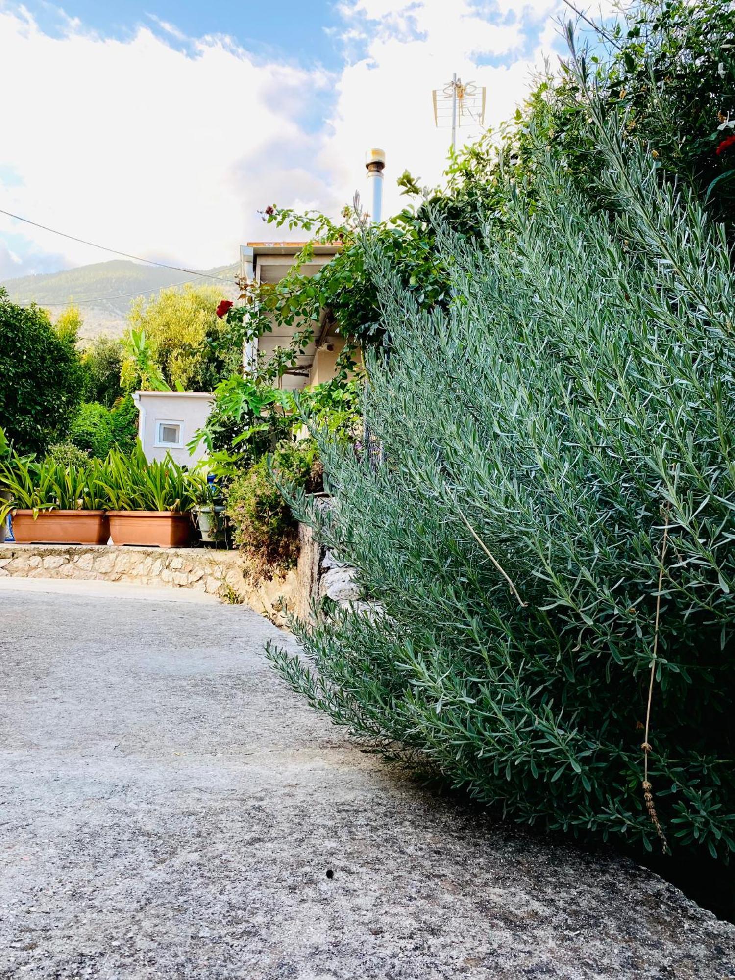 Villa Katoικια Lourdata  Exterior foto